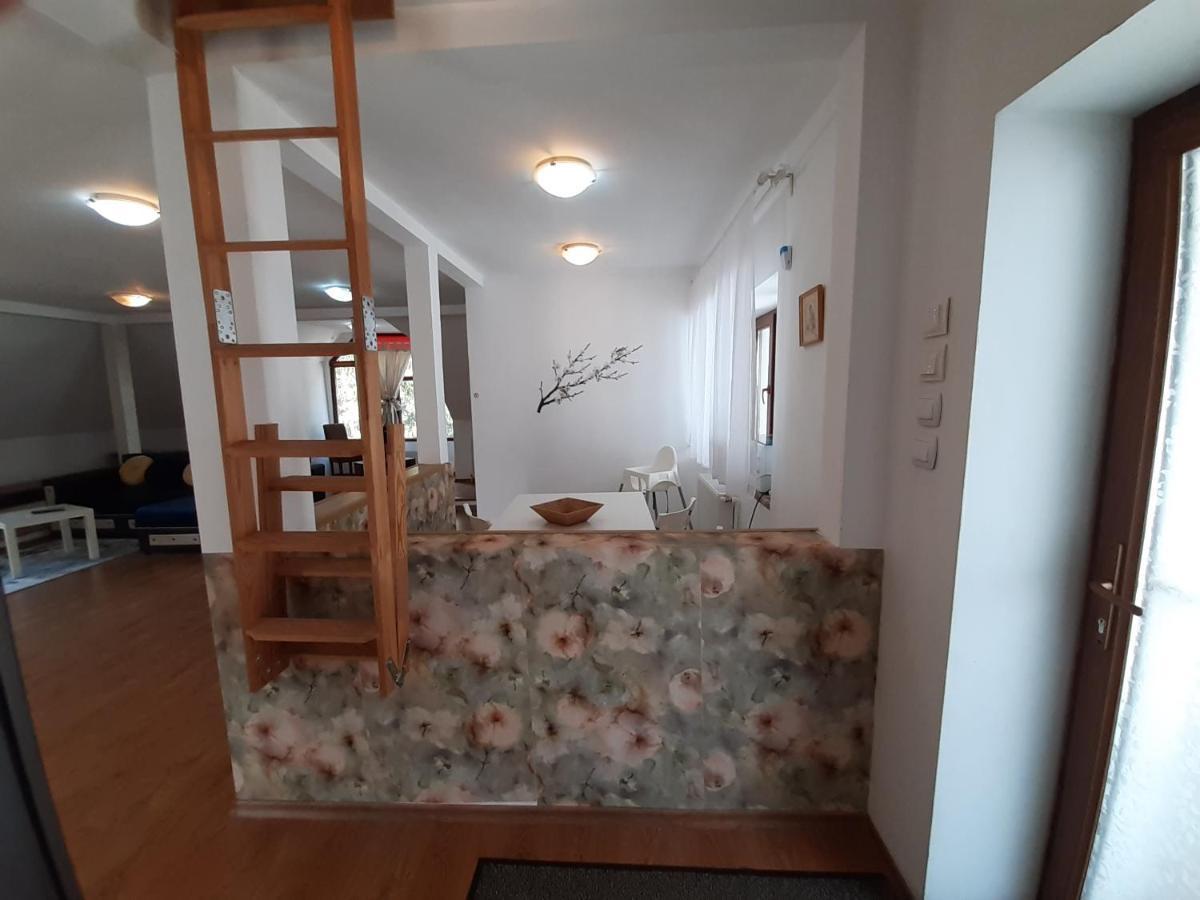 Ferienwohnung Casa Olguta Sinaia Exterior foto