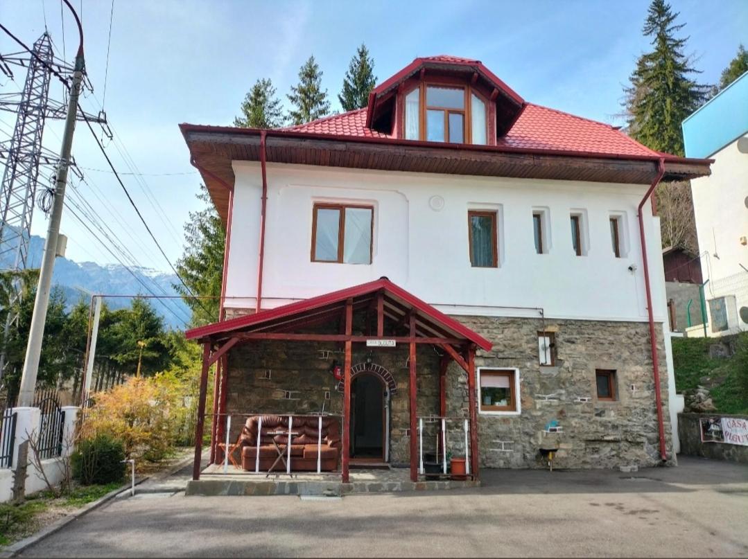 Ferienwohnung Casa Olguta Sinaia Exterior foto