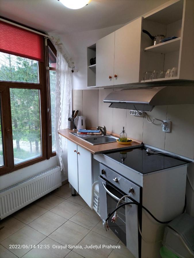Ferienwohnung Casa Olguta Sinaia Exterior foto